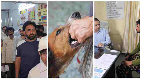कुत्तों का खूनी आतंक! युवक के गुप्तांग पर हमला , 10 घंटे में 42 लोगों को काटा