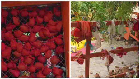 आस्था का सौदा: खैरुआ सरकार मंदिर में मन्नत के नारियलों को गुपचुप बेचने वाले पुजारी भाइयों पर FIR