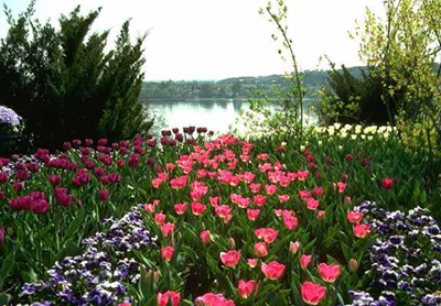 P003.jpg