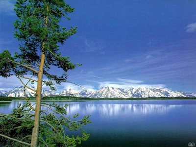 P007.jpg